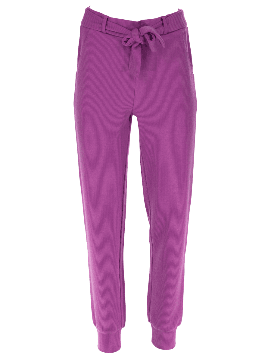 JEL 30-1 Broek met rib – purple1, L - Wibra